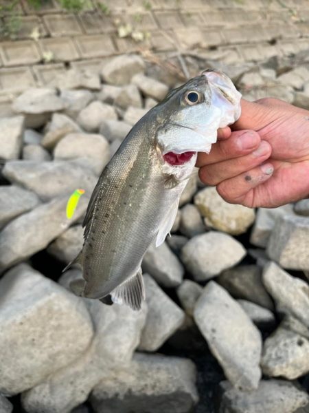 猛暑日で釣りは大変