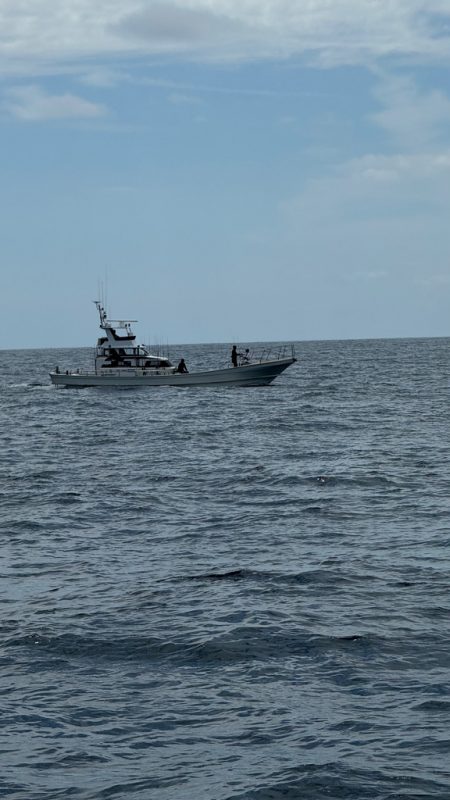 キハダキャスティングリベンジ