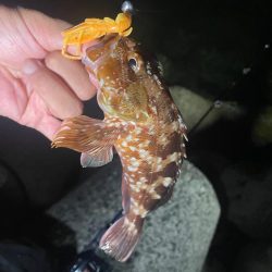 難しい、、、、