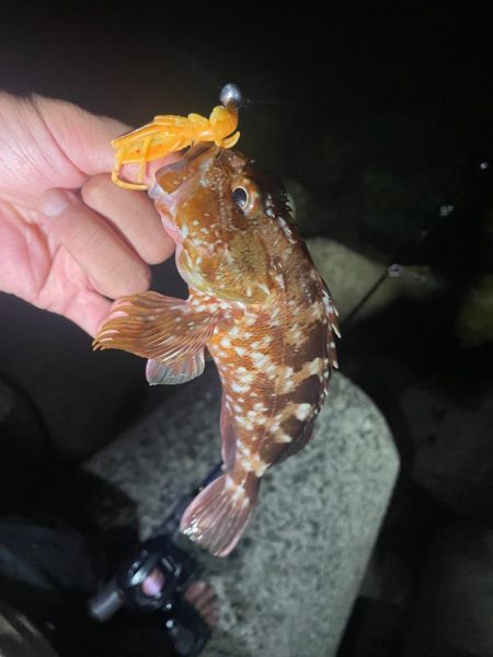 難しい、、、、