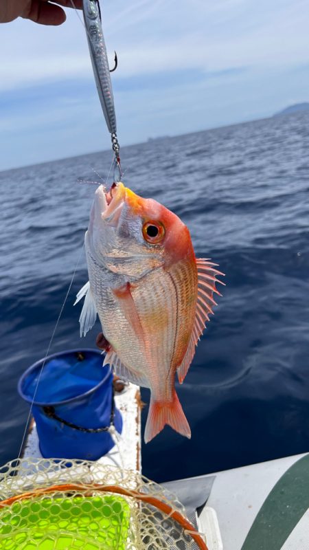 マイボートで残暑のアマダイ釣行！