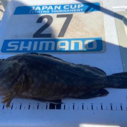 夏バテのシロギスタ