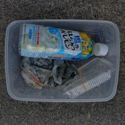 清掃活動：初の船キス釣り！！