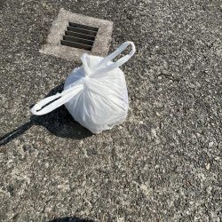 清掃活動：イワシフィーバー中2