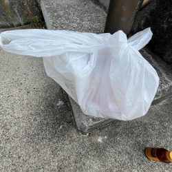 清掃活動：サビキでモジャ公乱入