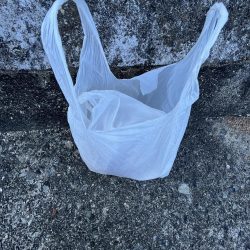 清掃活動：渋い五目サビキ