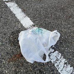 清掃活動：渋いあつい！