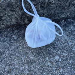 清掃活動：渋い人マシマシ！