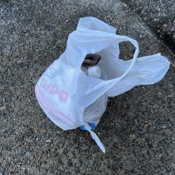 清掃活動：嵐の前に②