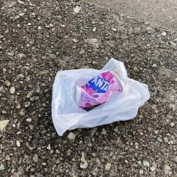 清掃活動：サビキで大漁！