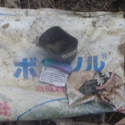 清掃活動：蒸し暑バス