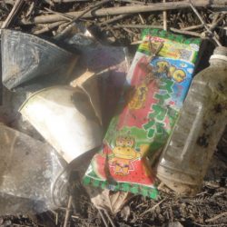 清掃活動：朝チャター