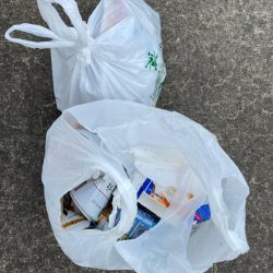 清掃活動：エビ撒きで、ガシラ大アジ好調です…