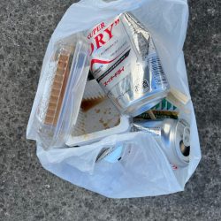 清掃活動：スズキ釣れました