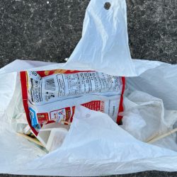 清掃活動：ガシラたくさん釣れました