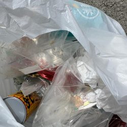 清掃活動：ちょい投げキス釣り