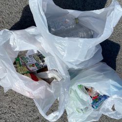 清掃活動：フラット