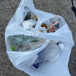 清掃活動：セイゴ活性高いです