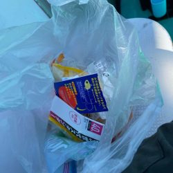 清掃活動：夏のカワハギ＆タチウオ