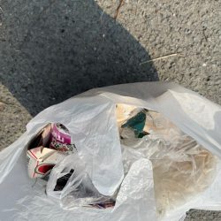 清掃活動：そこそこ　底の魚