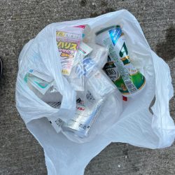 清掃活動：朝のアジ釣れてます