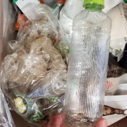 清掃活動：浜の宮ビーチとマリーナシティ大波…