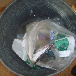 清掃活動：ジャックバス