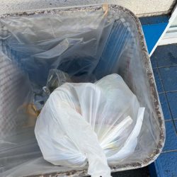 清掃活動：アジやチヌの活性高いです