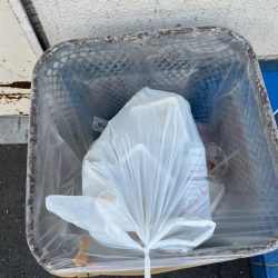 清掃活動：エビ撒きで２０センチアジ釣れてま…