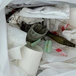 清掃活動：ジグサビキ　13