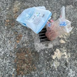 清掃活動：サビキしか勝たん