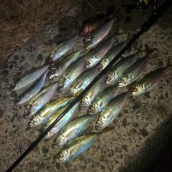 フロートゲーム~