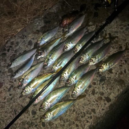 フロートゲーム~