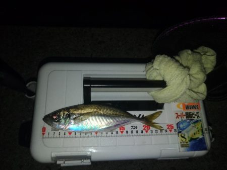 総入れ替えフロートゲーム②