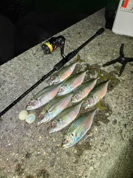 フロートゲーム～