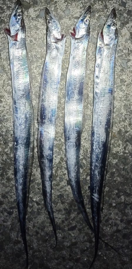 ゆうマヅメは無かったような？