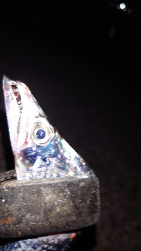 なんとかシーズン初