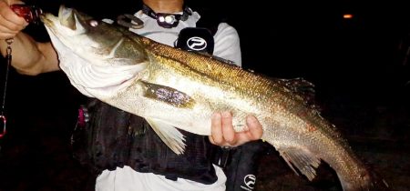 イナッコパターン攻略で、ランカー降臨!