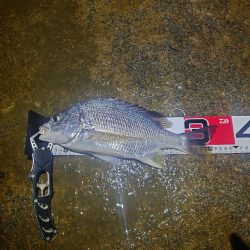 帰り間際にボウズ回避