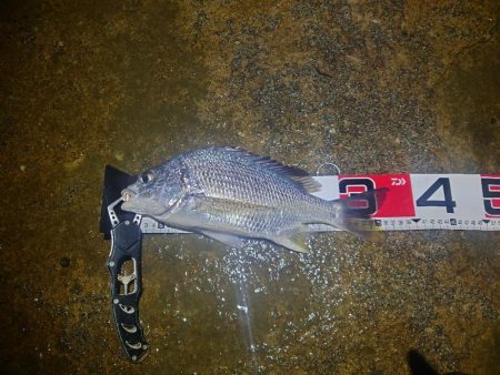 帰り間際にボウズ回避