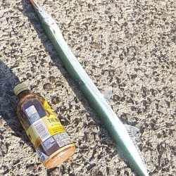 そろそろ終了？