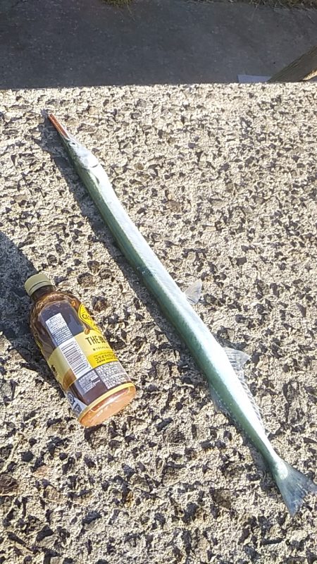 そろそろ終了？