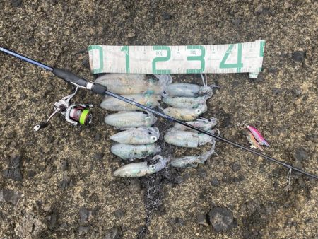 2024 佐渡ヶ島エギング 5回目【9月7…