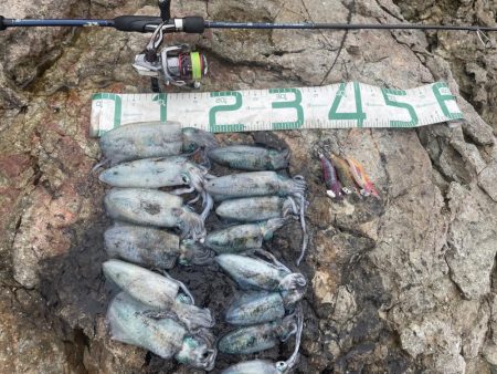 2024 佐渡ヶ島エギング 6回目【9月8…