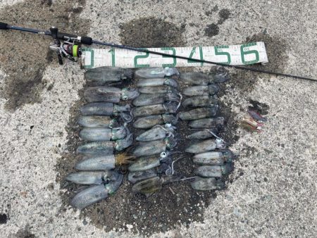 2024 佐渡ヶ島エギング 7回目【9月1…