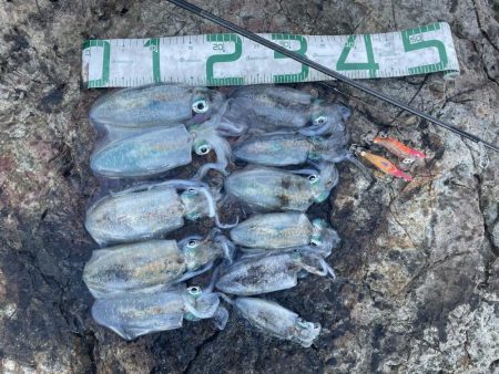 2024 佐渡ヶ島エギング 9回目【9月1…