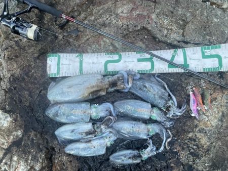 2024 佐渡ヶ島エギング 13回目【9月…