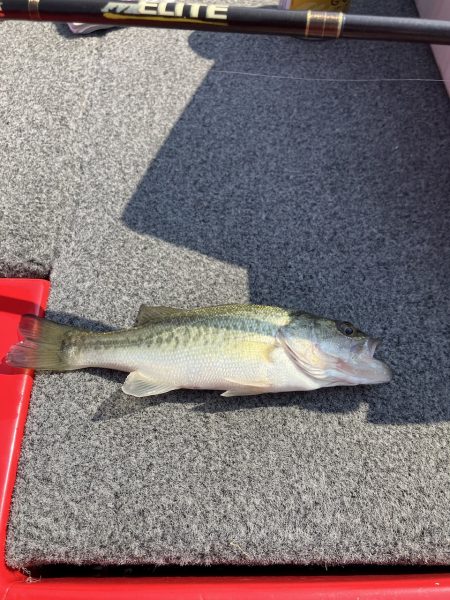 迷走台風後南湖