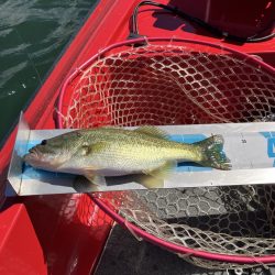 3連休最終日 秋バス