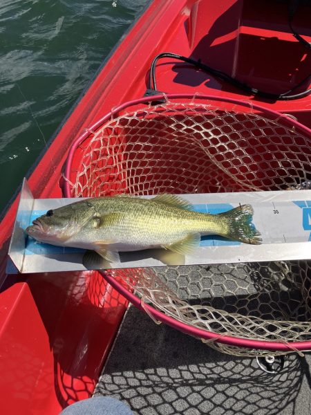 3連休最終日　秋バス